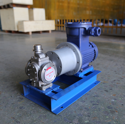 圓弧齒輪泵YCB10-1.6整機、配磁力聯(lián)軸器.JPG